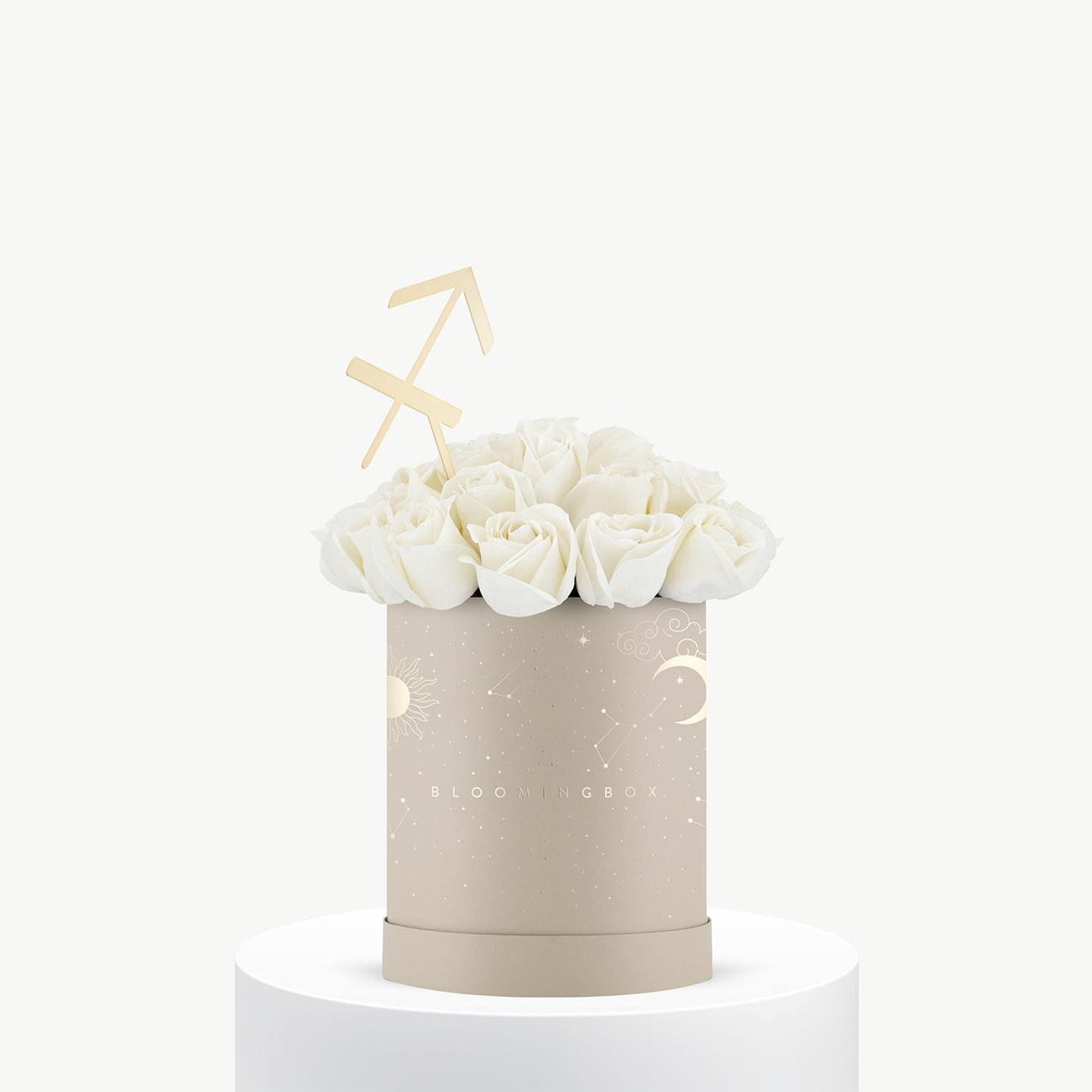 بوكس روز برج القوس