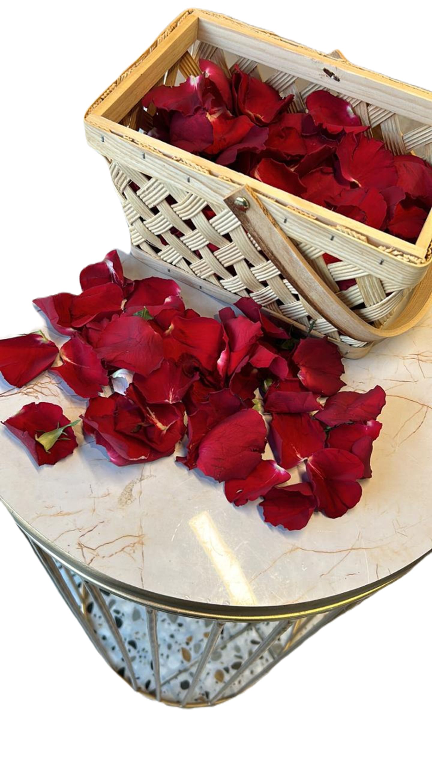 Large Scattered Rose