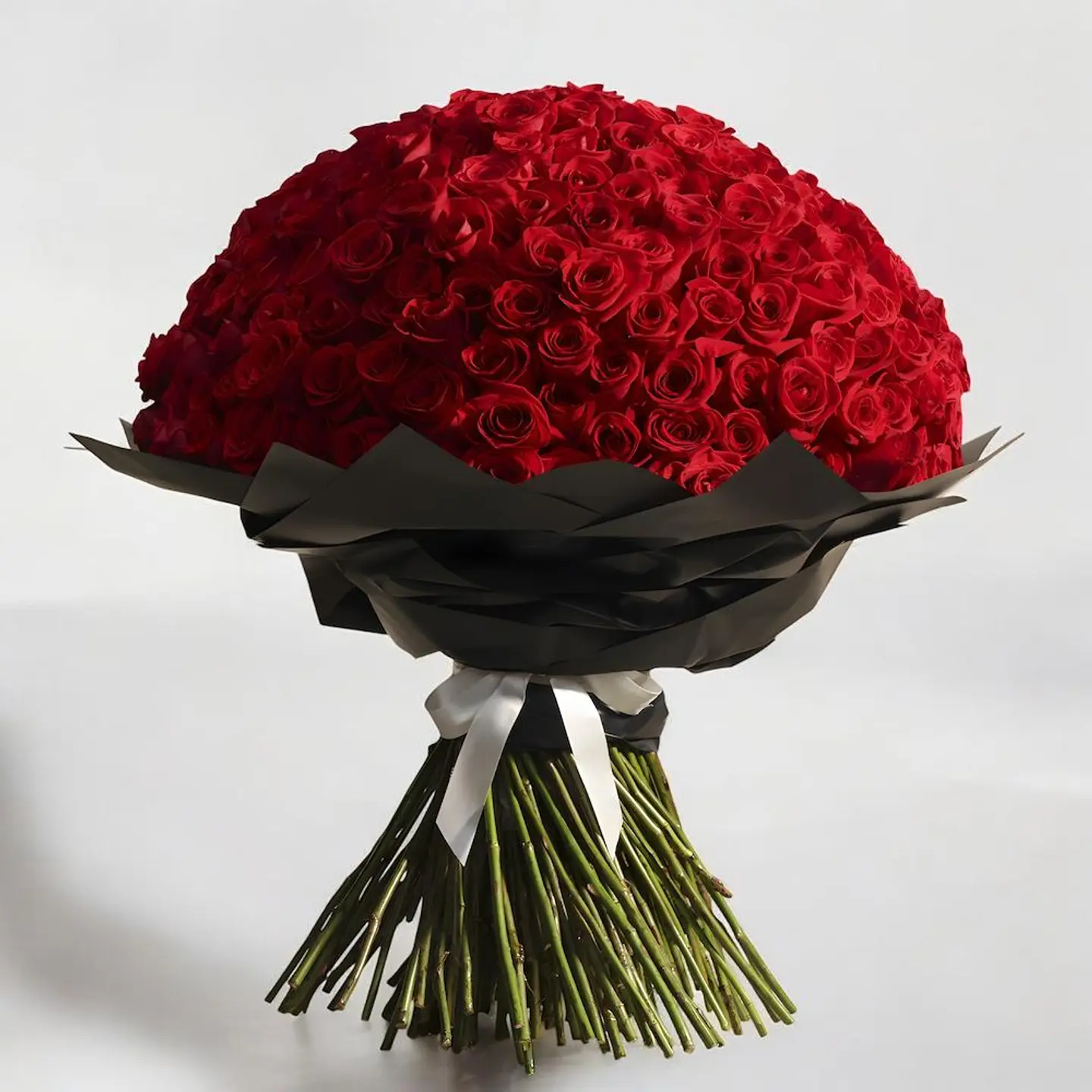 الجوري الأحمر (٢٠٠ زهرة)