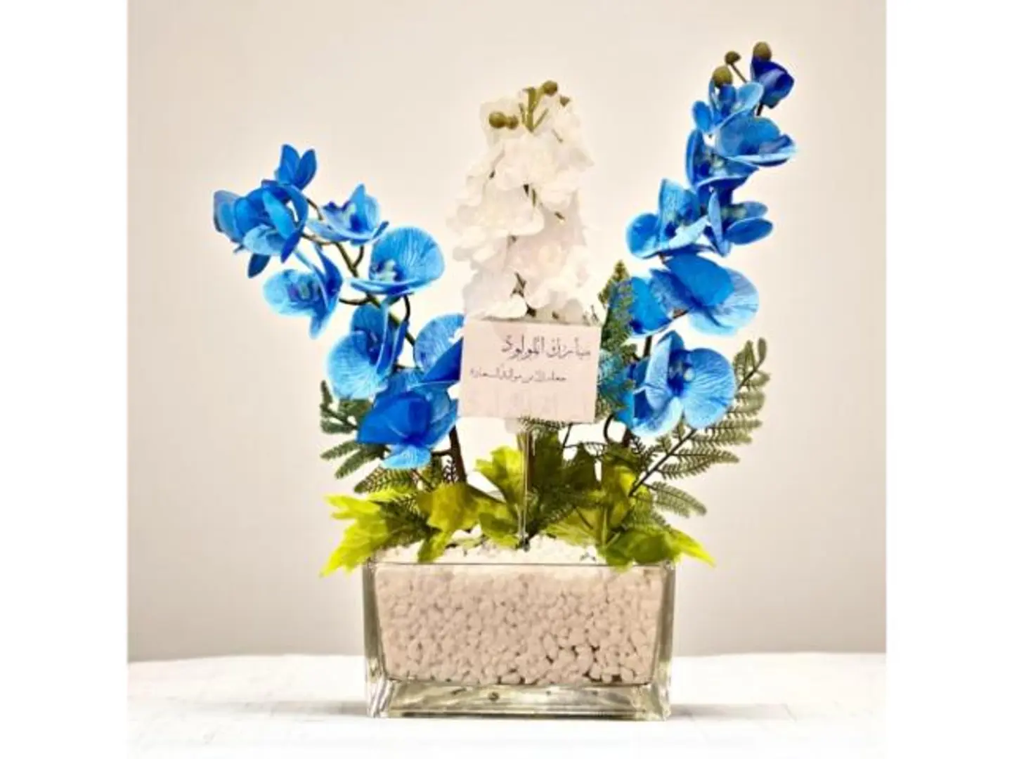 فازه ورد نيو لايت