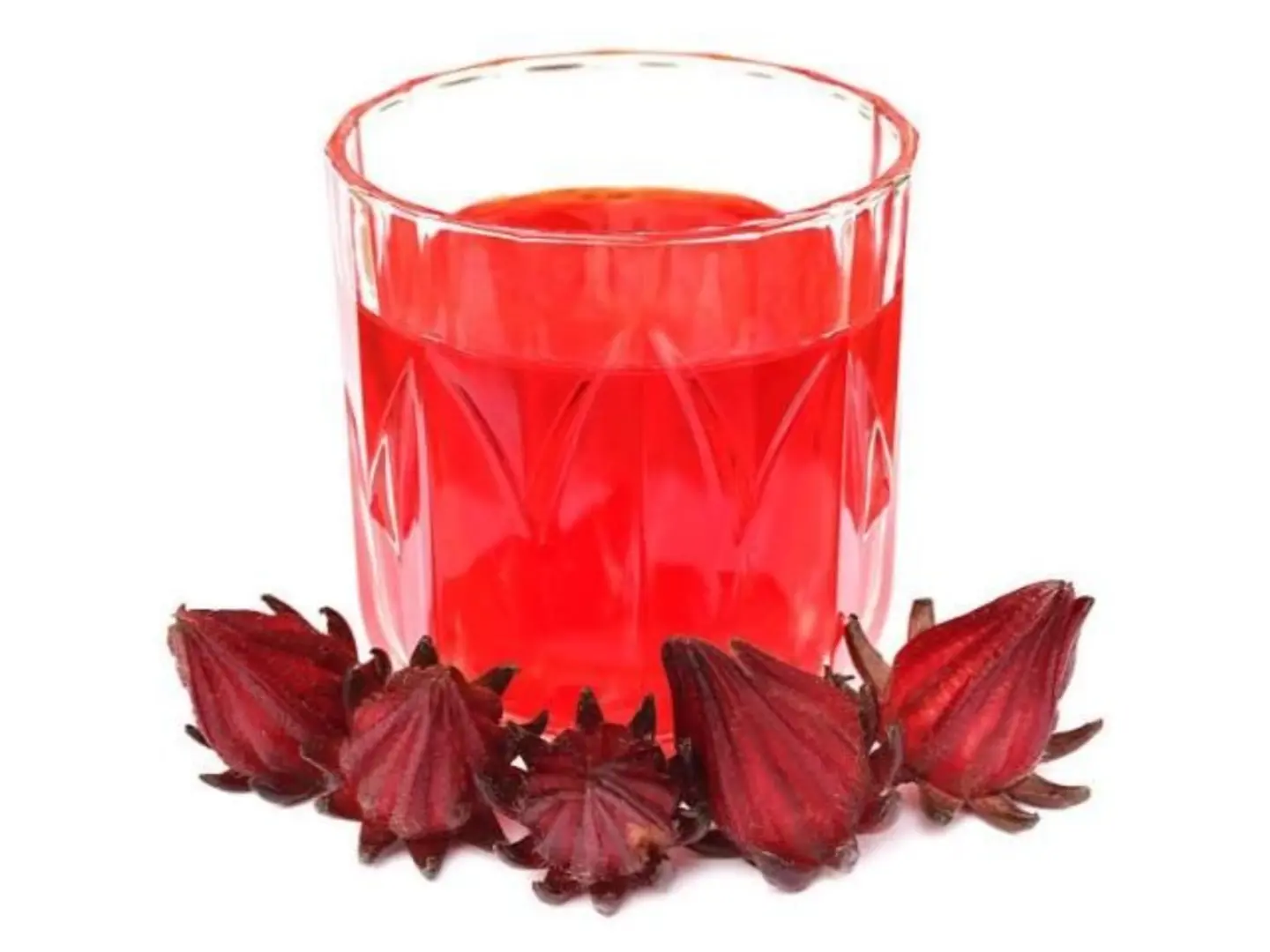 Hot Hibiscus