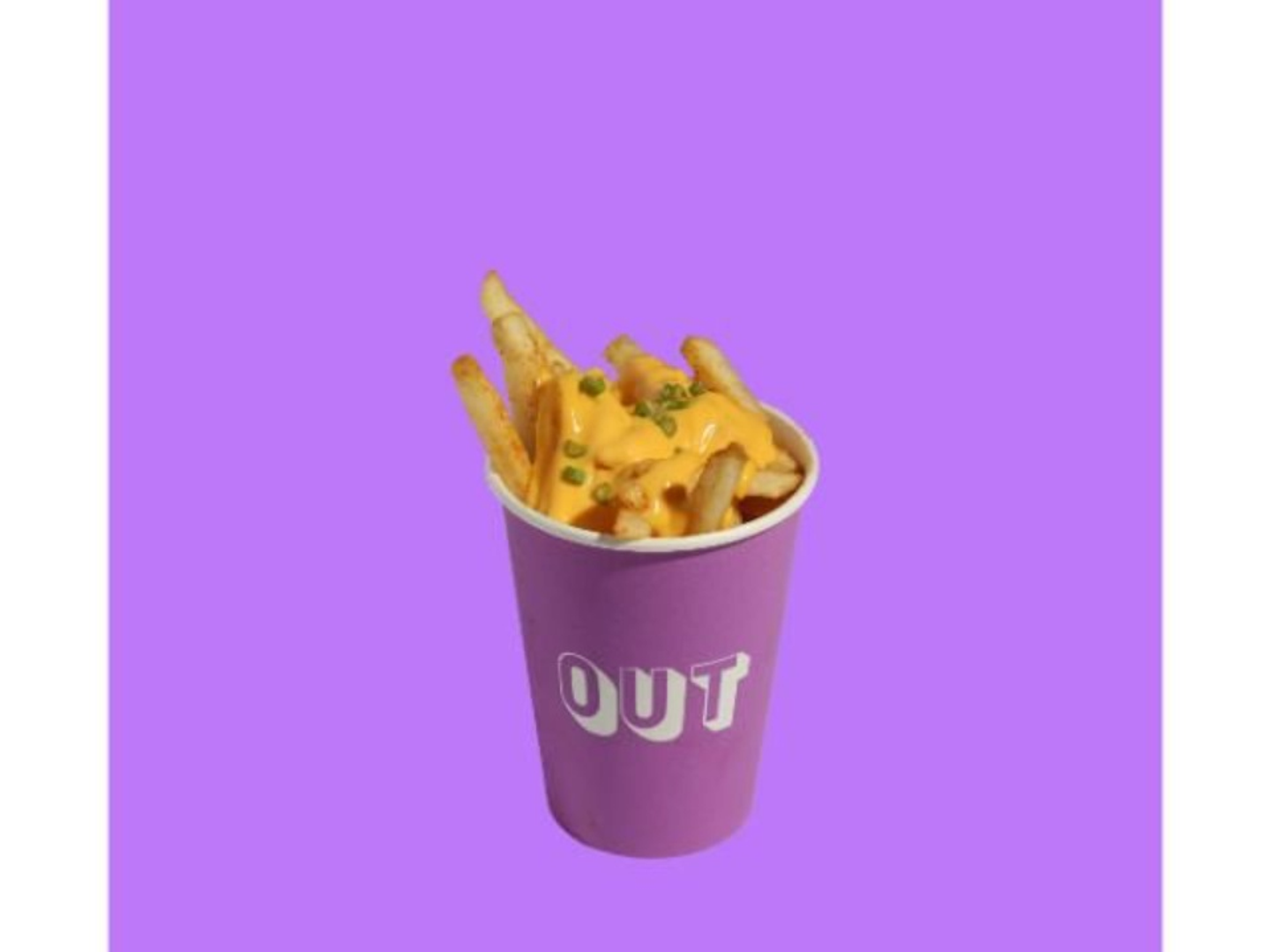 Fries With Cheese