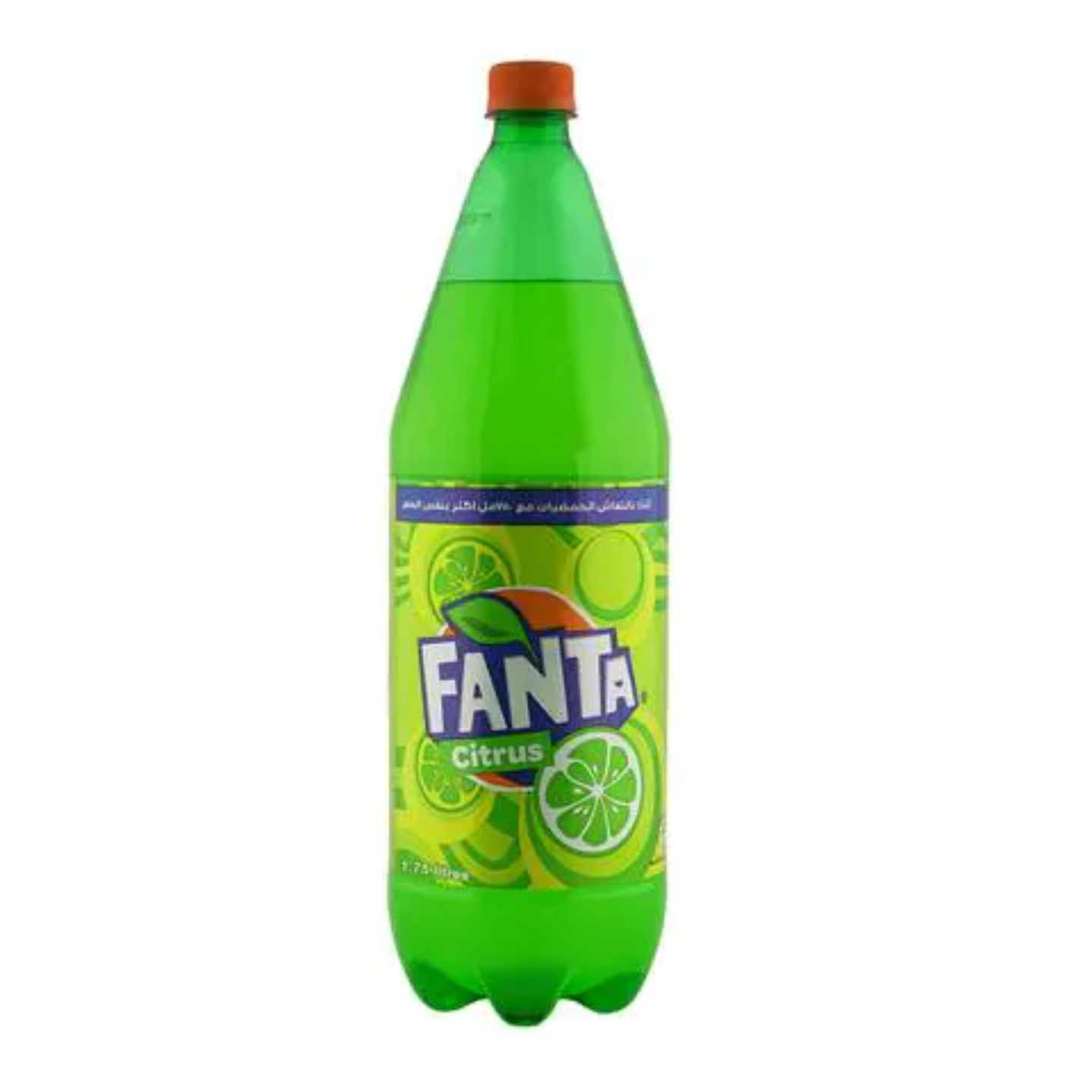 Dew - Large