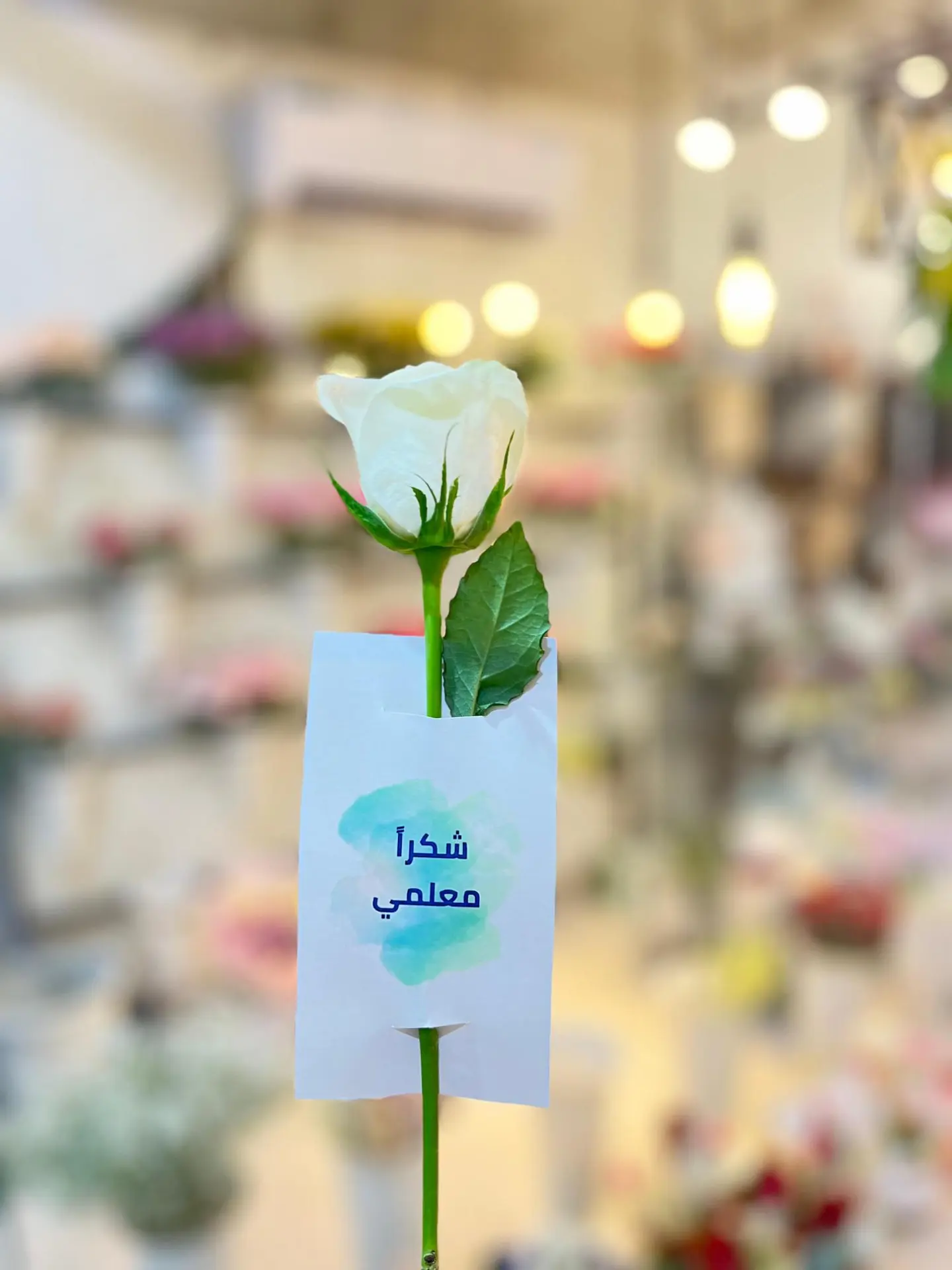 تاق شكرا معلمي ساده