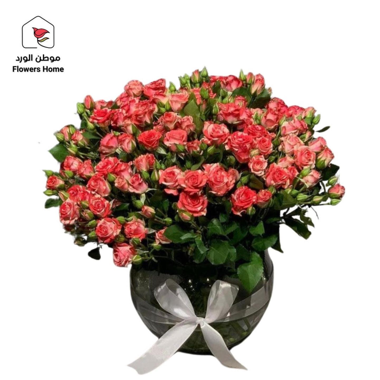 فازة 10