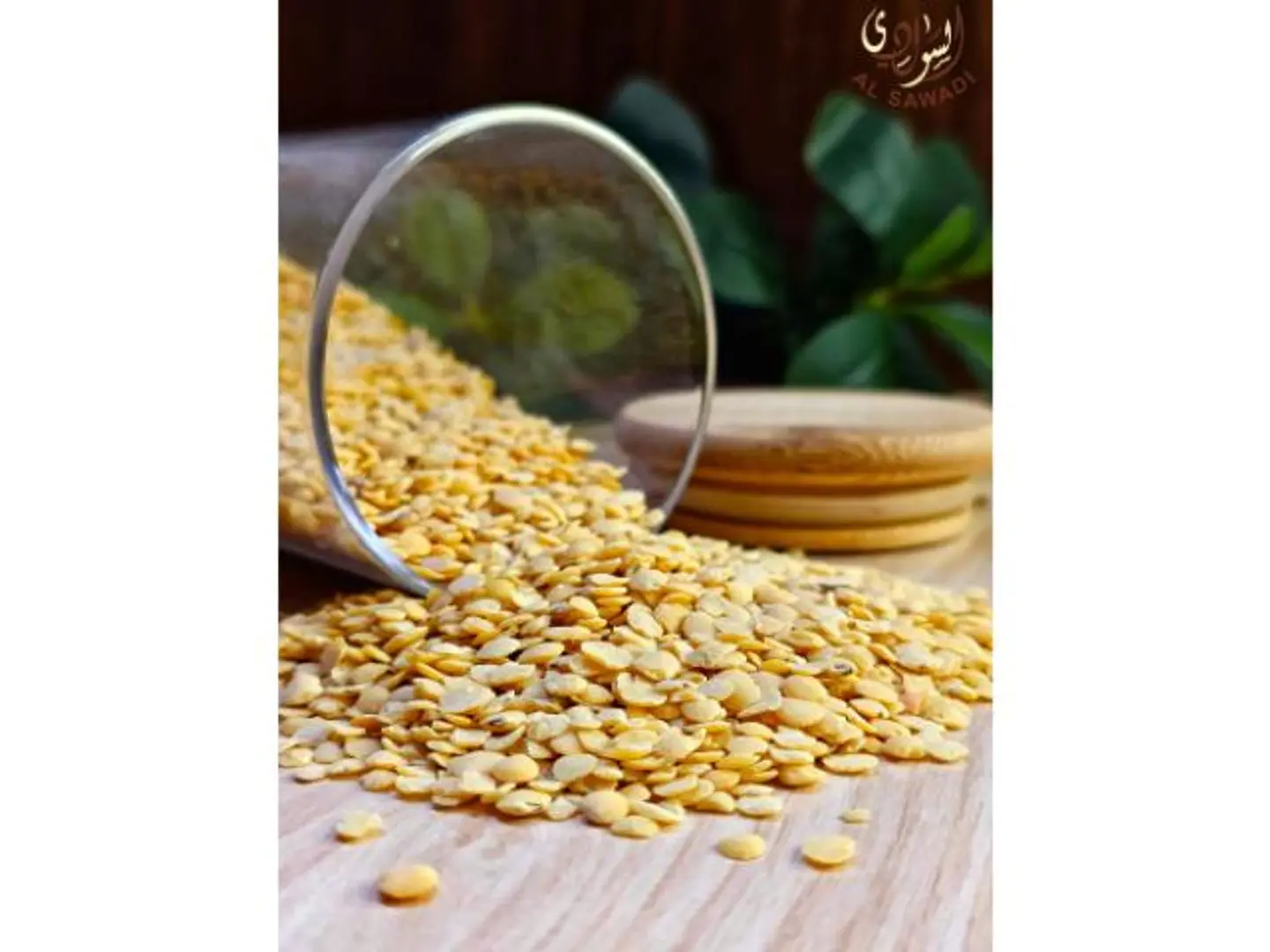 عدس اصفر