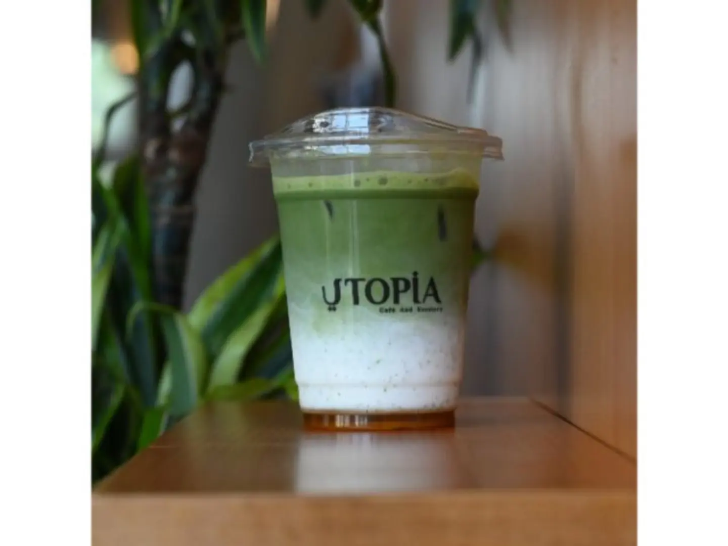Adan Matcha