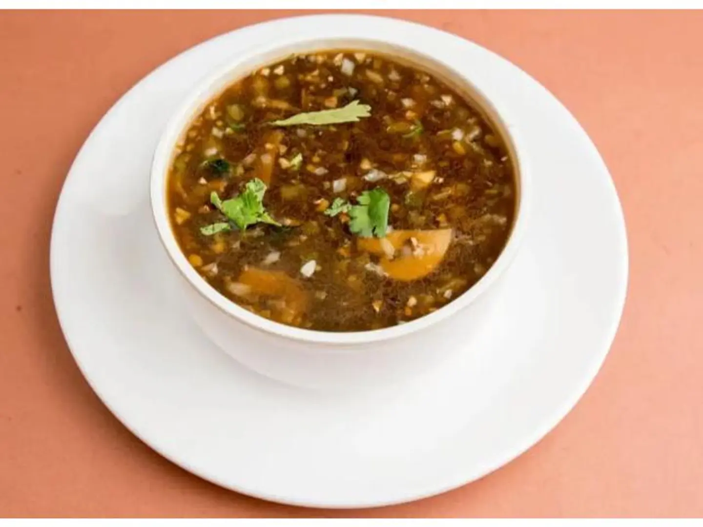 Vegetable Manchow Soup