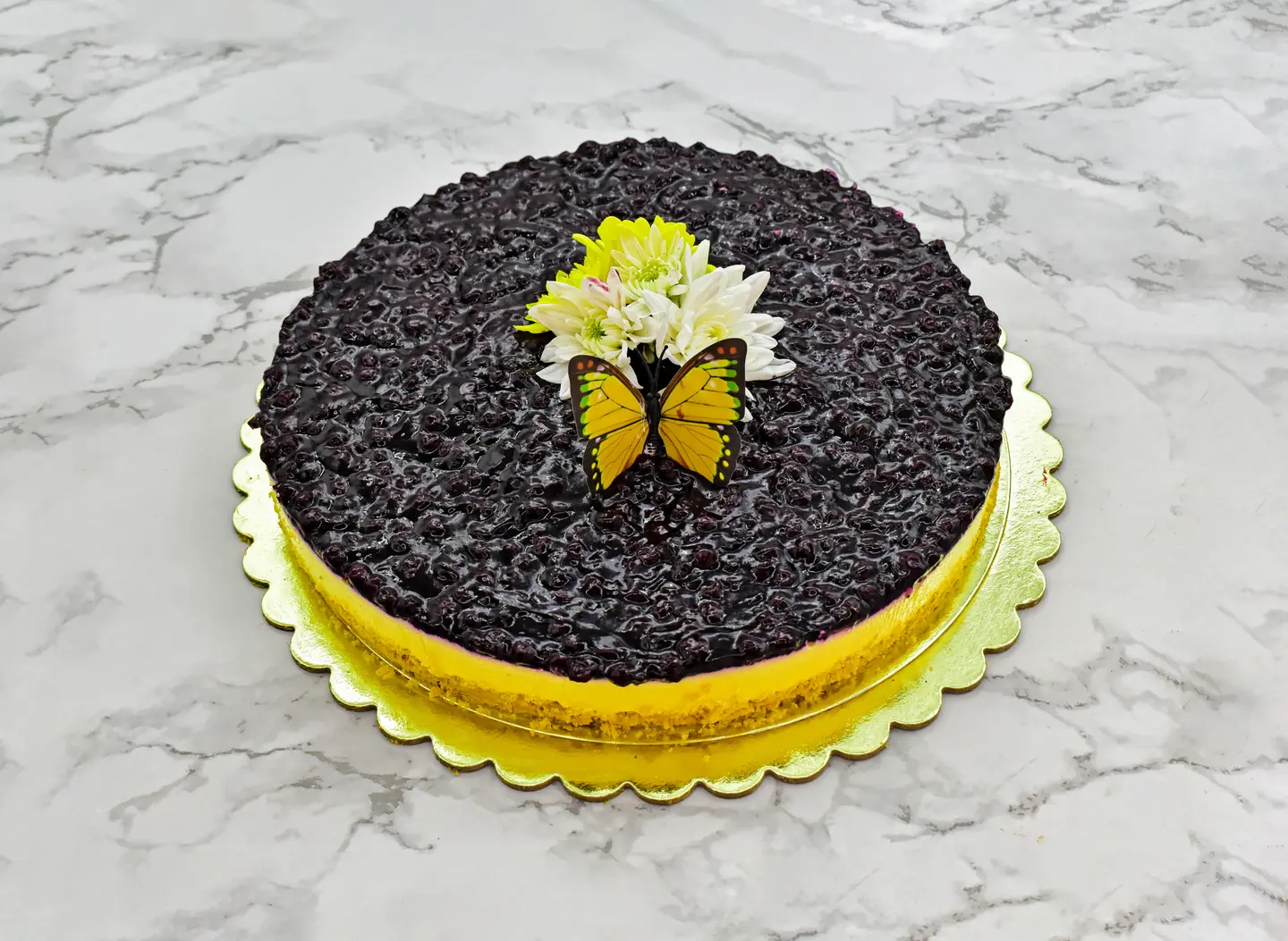 Blueberry Cheesecake