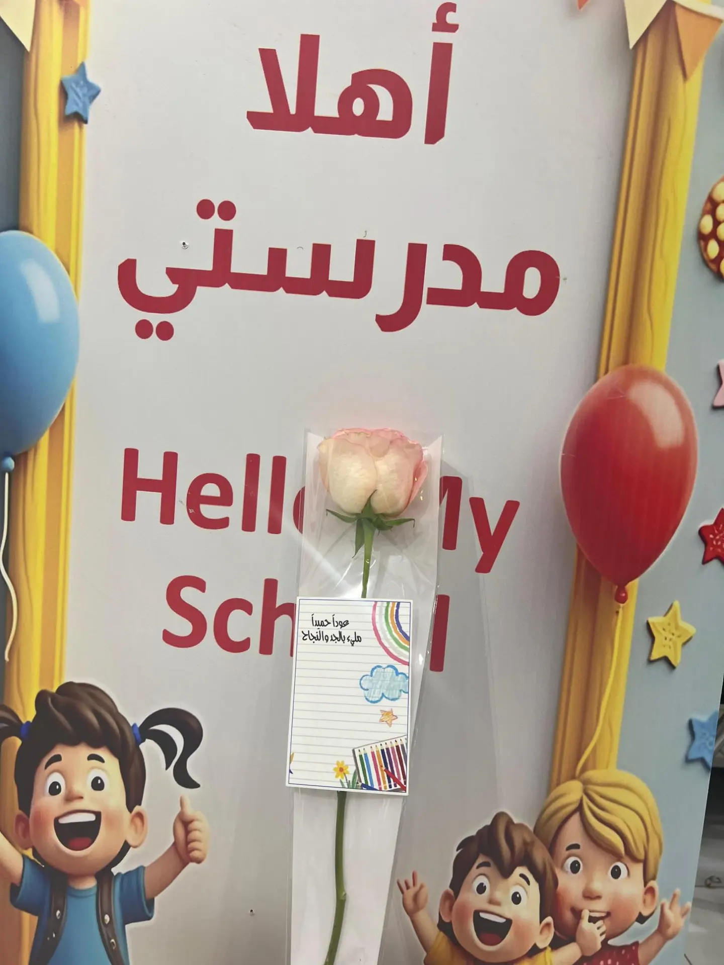 توزيعات ورد مغلف 6
