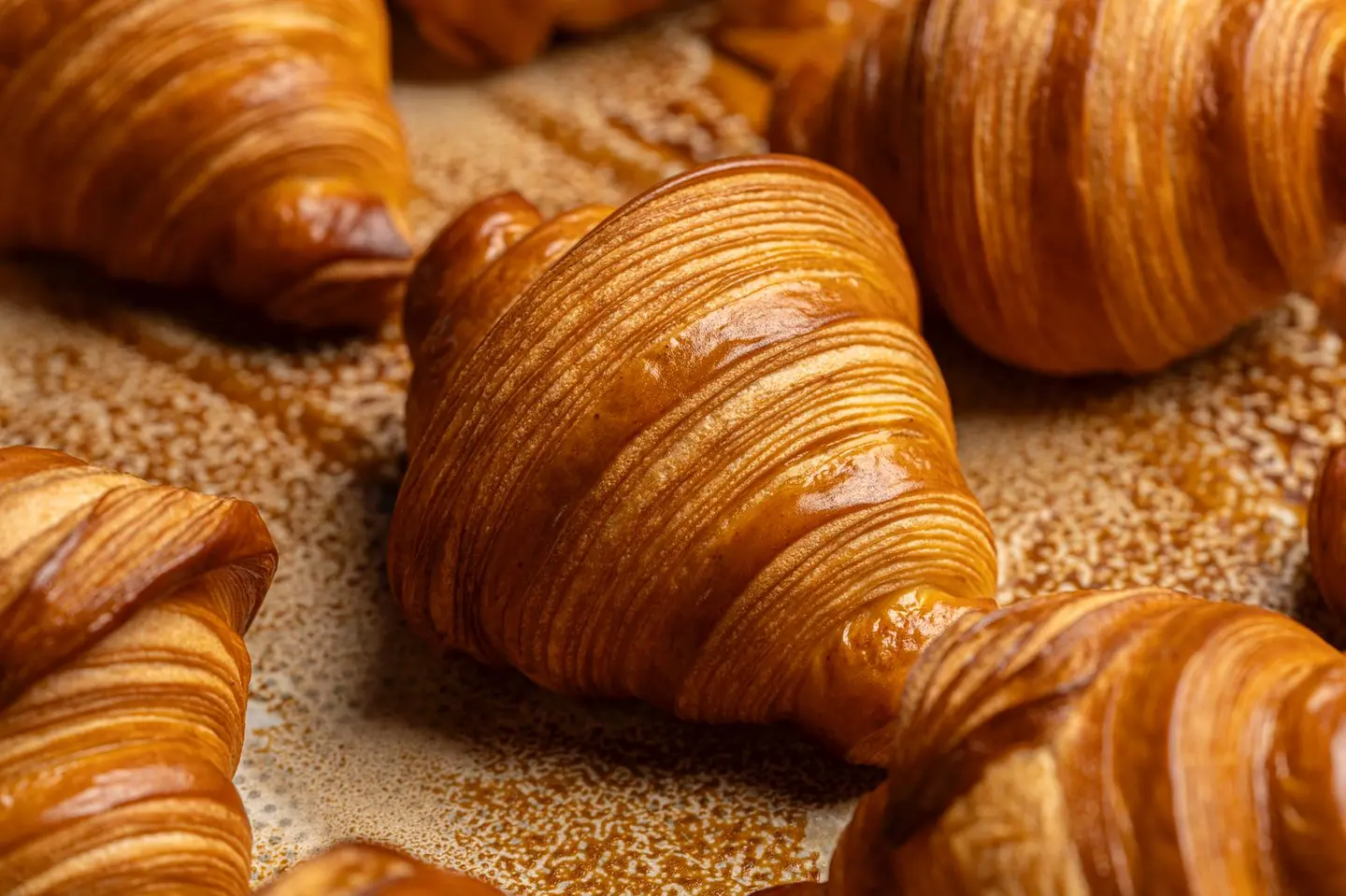 Plain Croissant