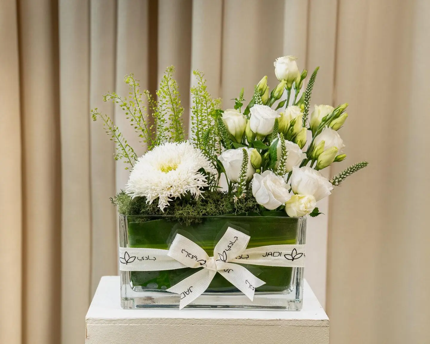 فازة جوفانا