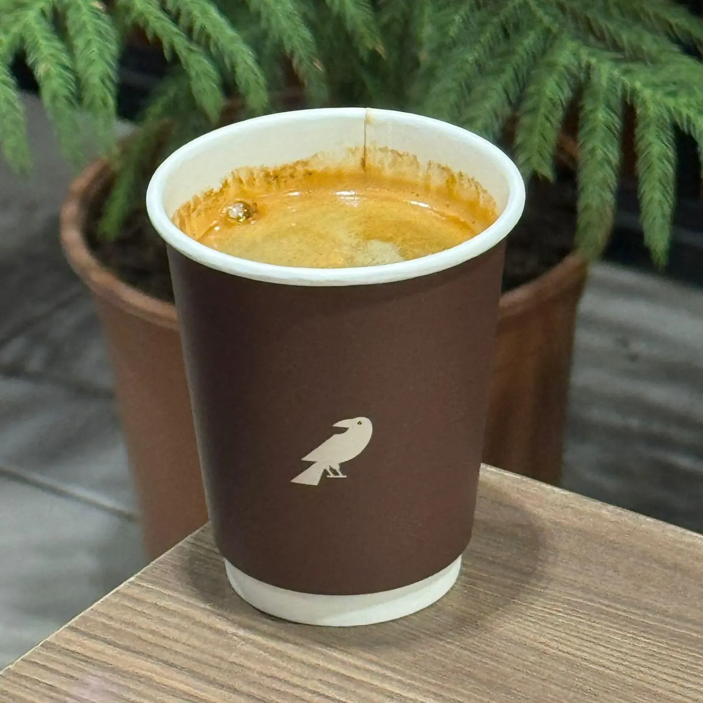 Hot Americano
