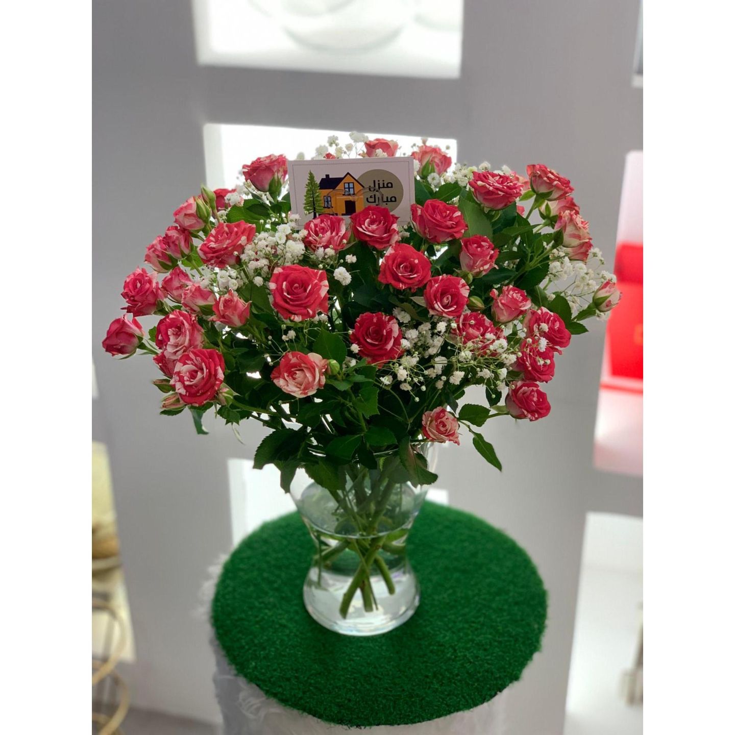 فازة بيبي جوري