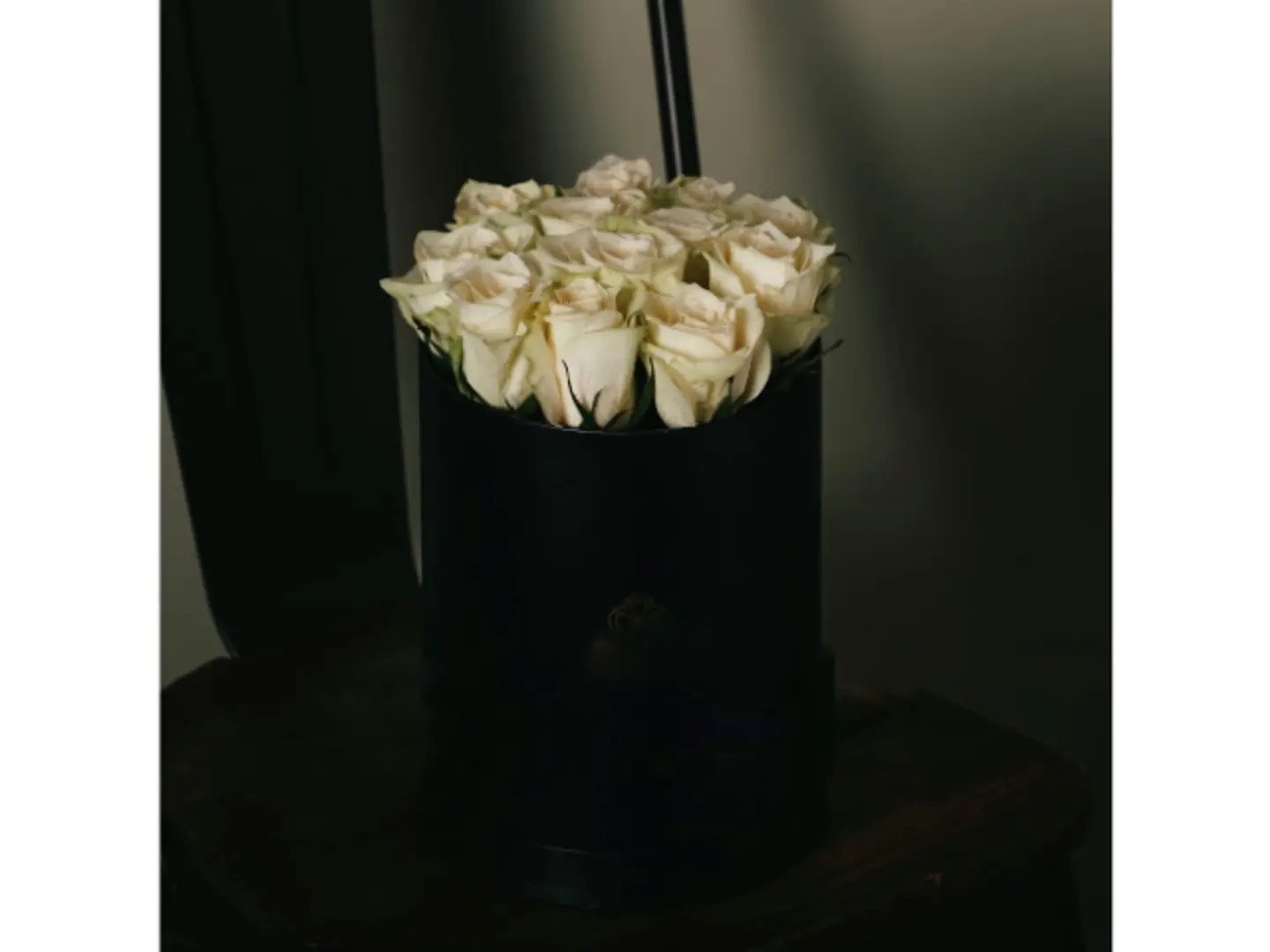 بوكس الجوري الأبيض