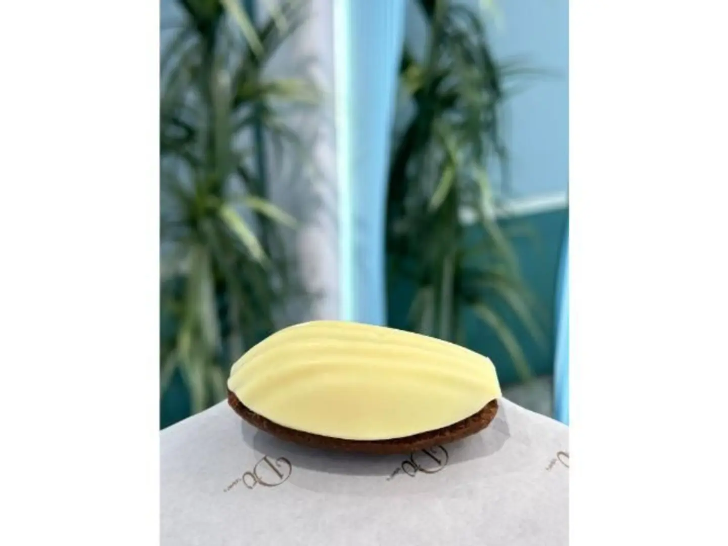 White Chocolate Madeleine