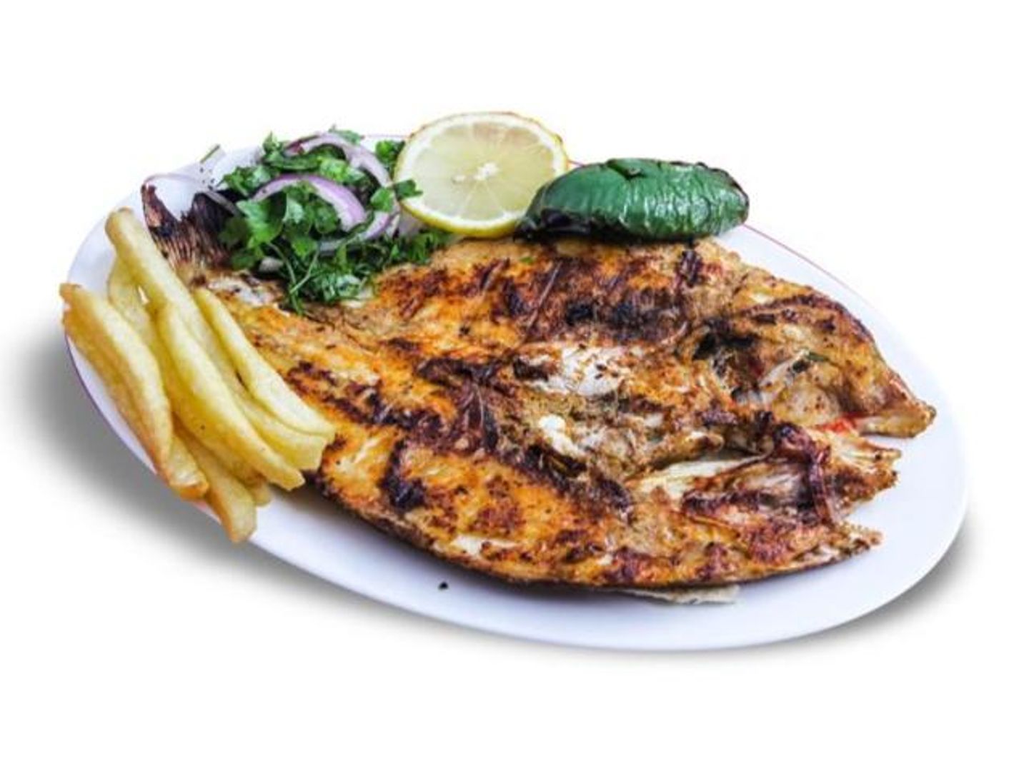 هامور