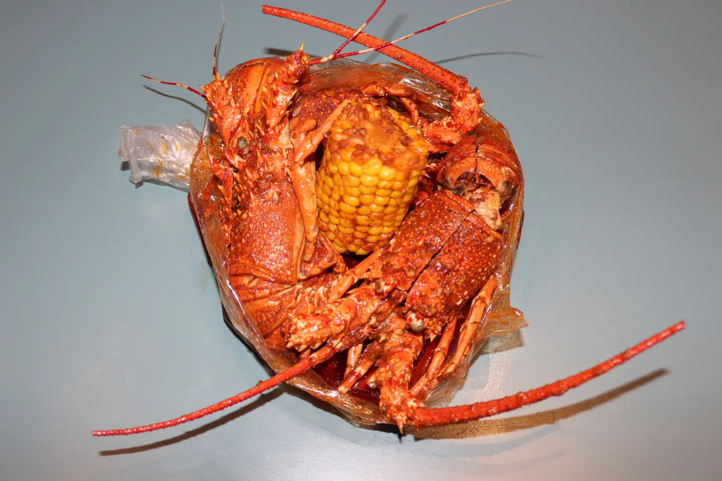 Lobster