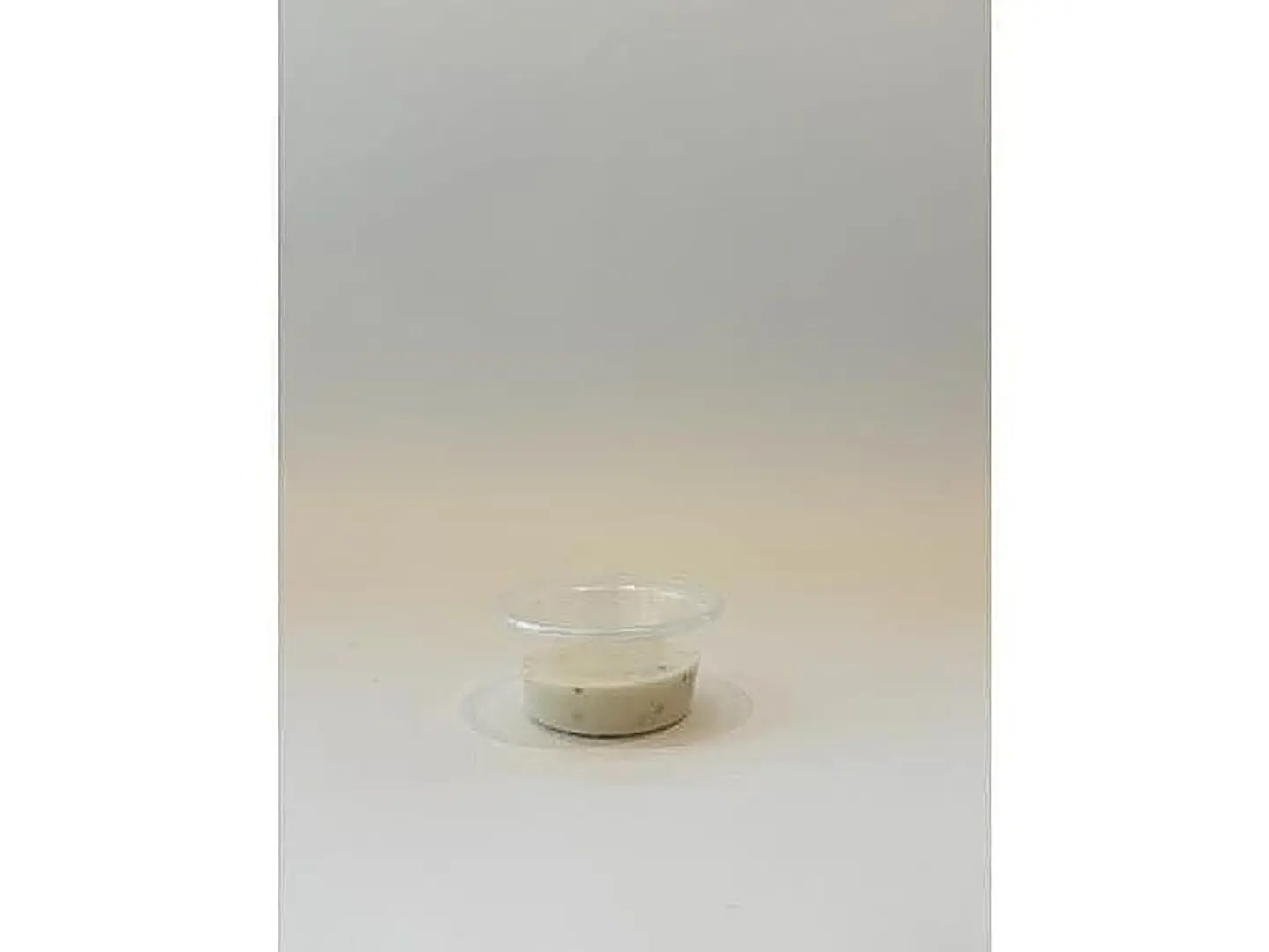 Ranch Sauce