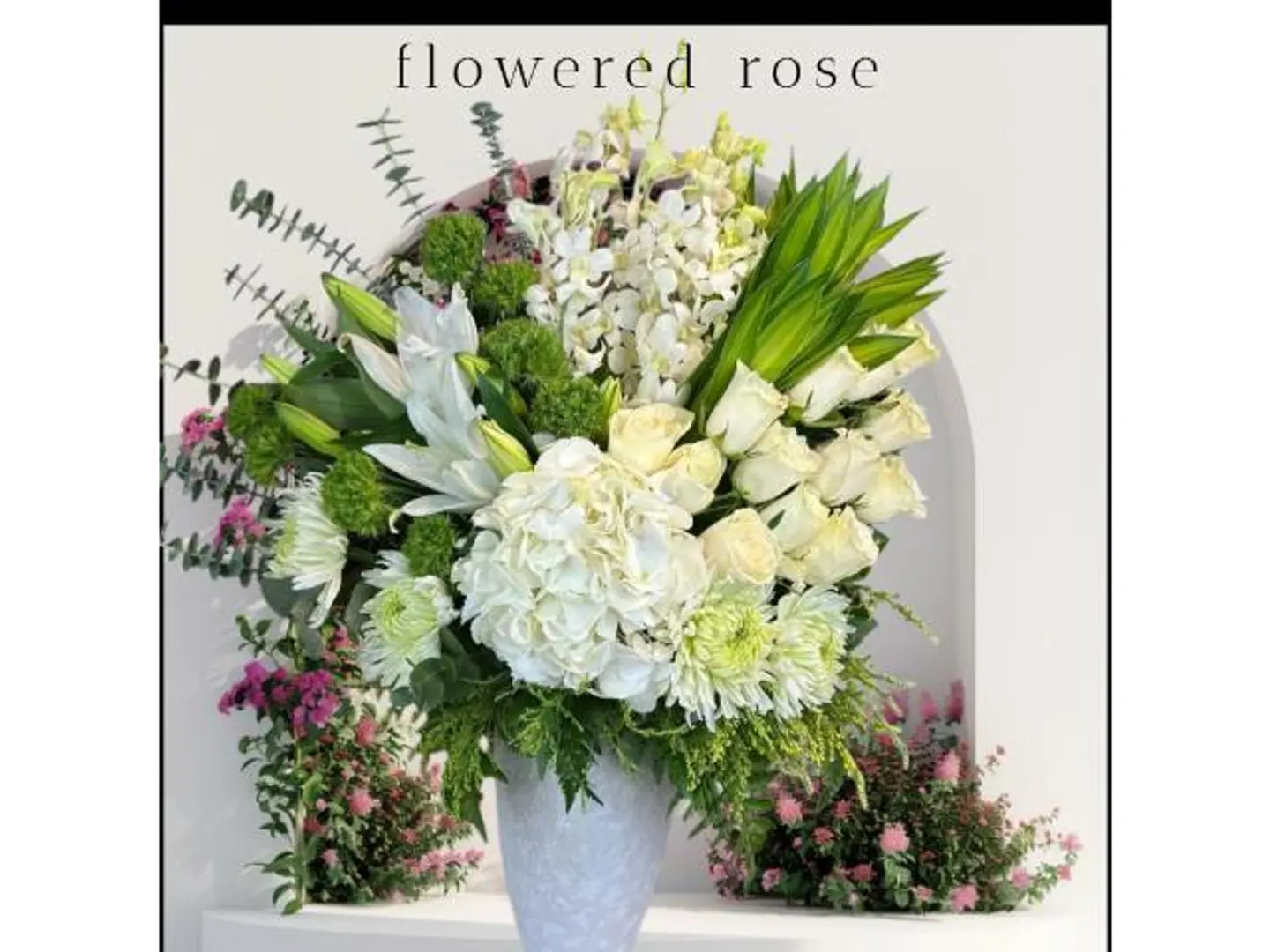 فازه بياض الثلج