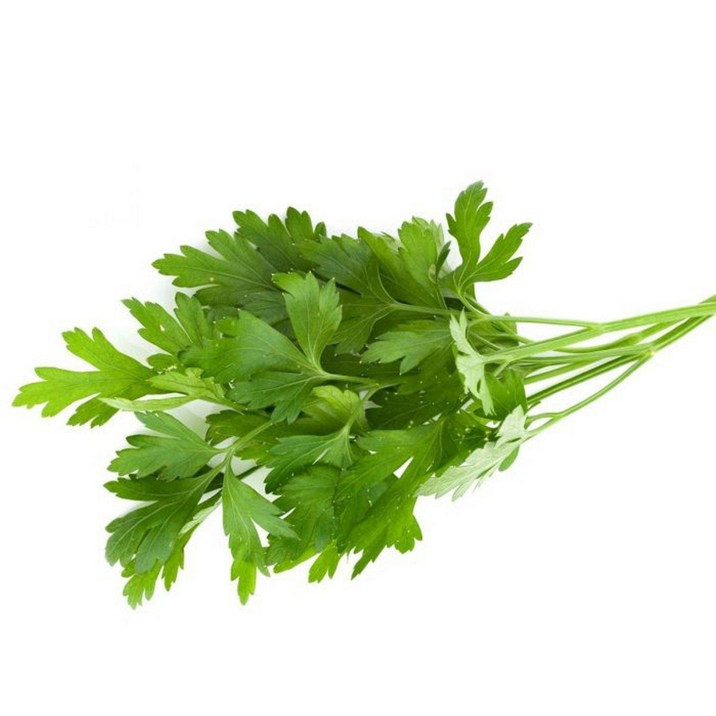 Parsley