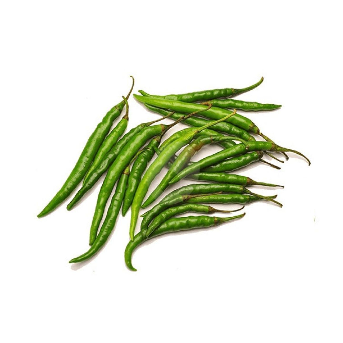 Chili India