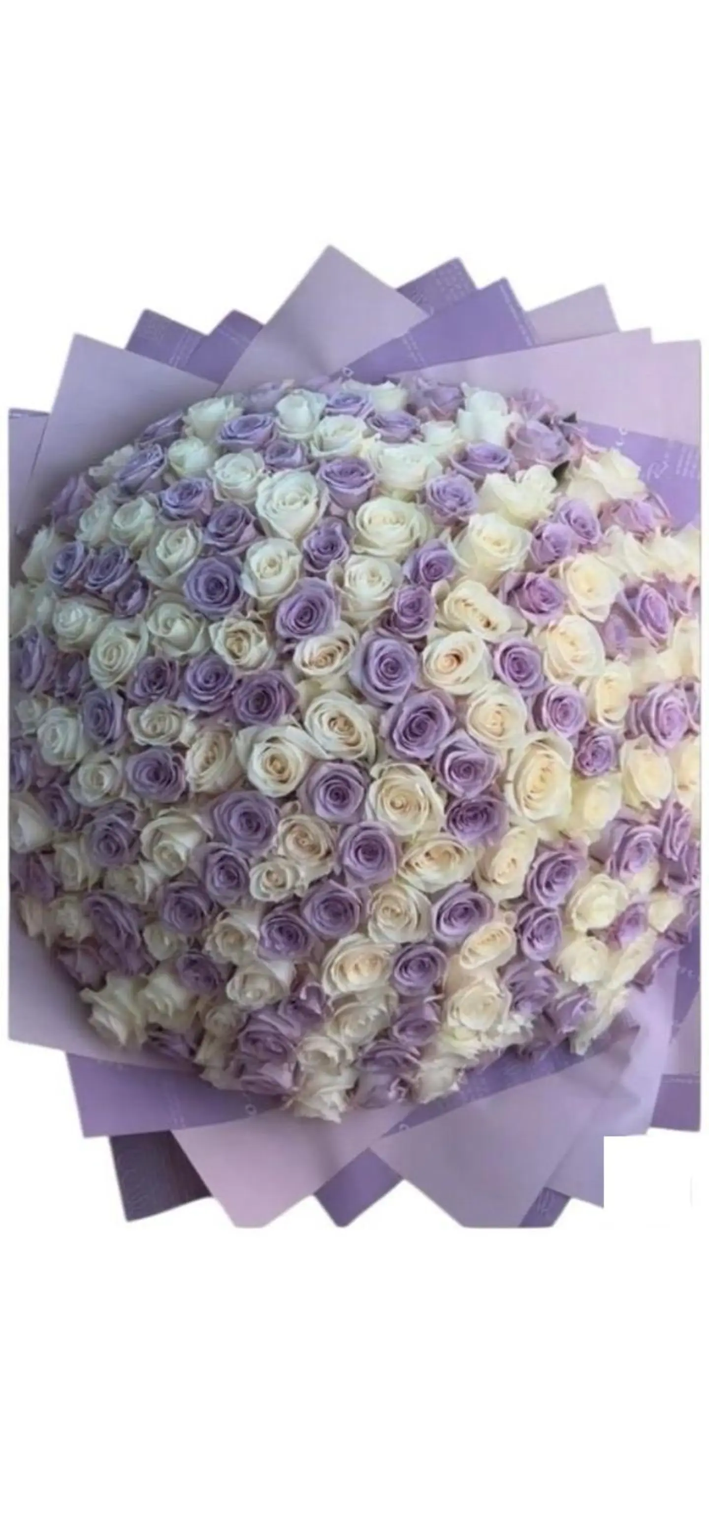 باقه الهدوء الراقي