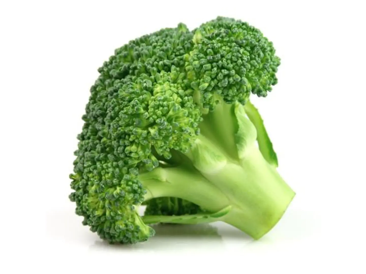 Broccoli