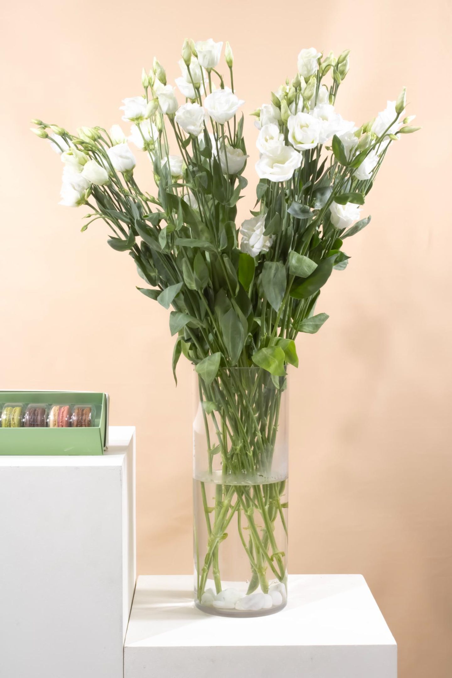 Eustoma Vase