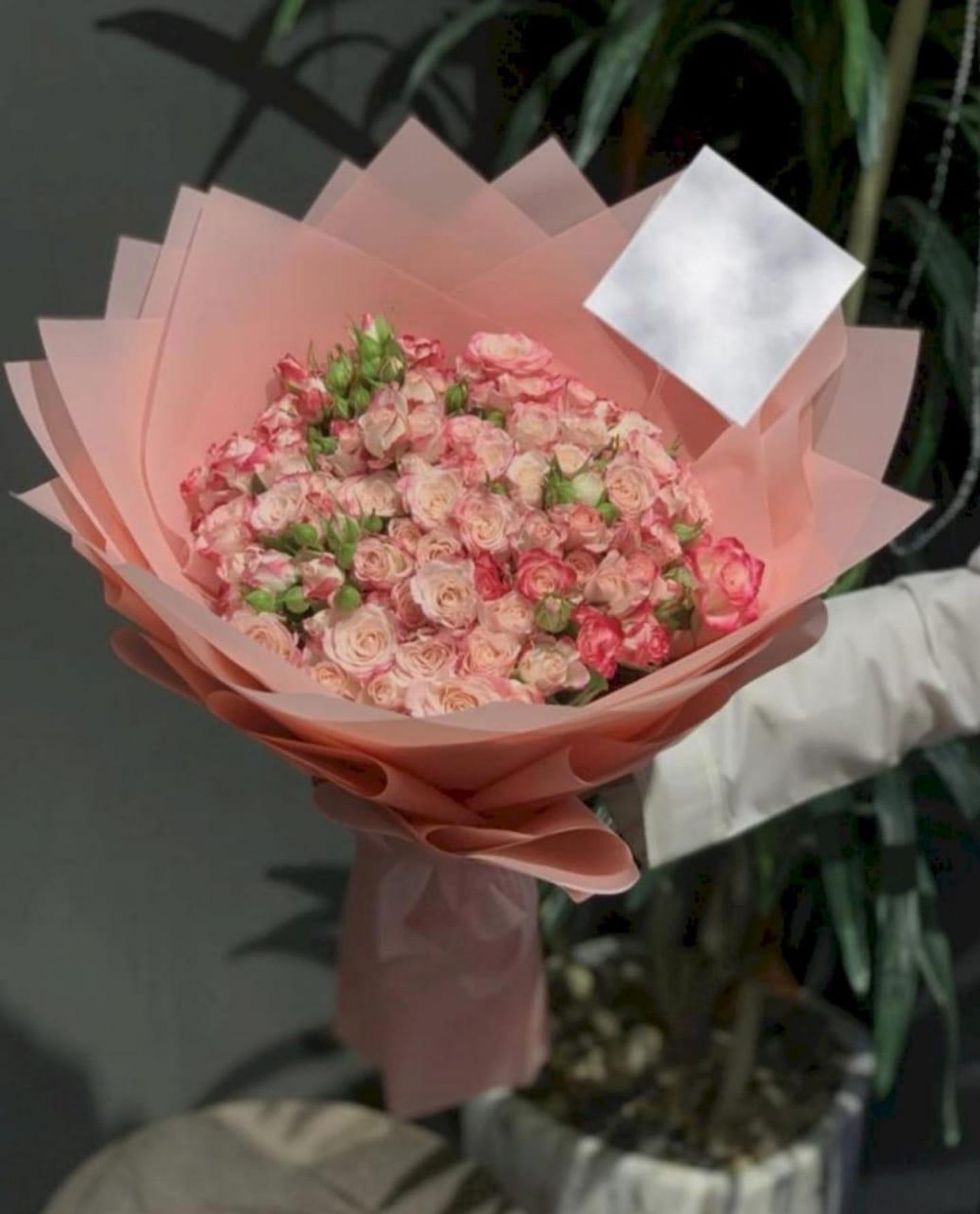 Magic Bouquet