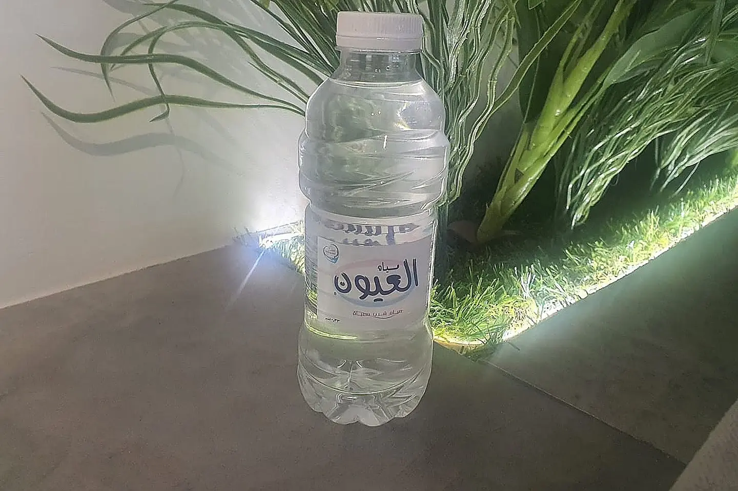 Al Oyoun Water