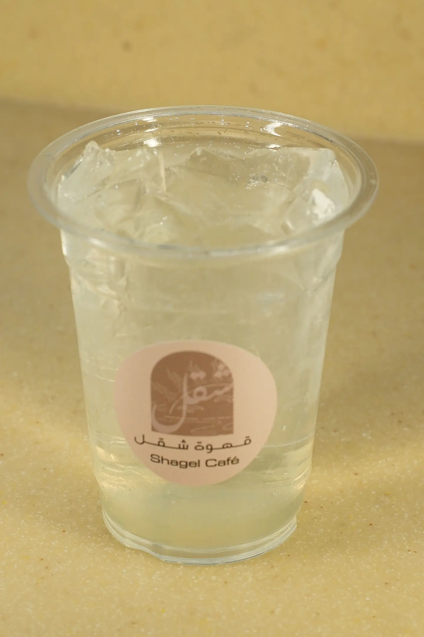 Lemn With Mint Mojito