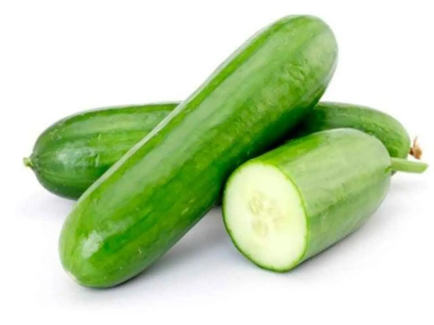 خيار القصيم