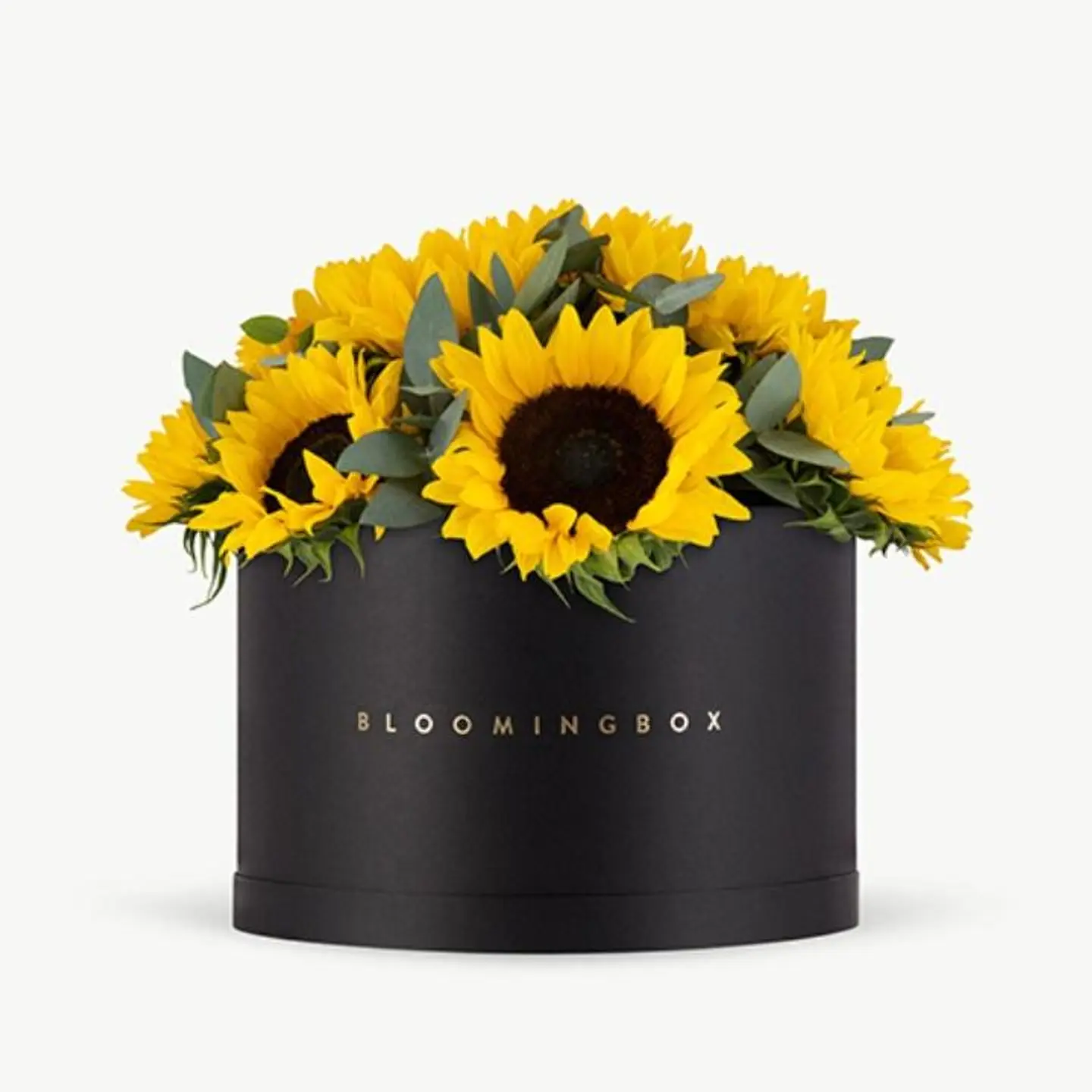 Sunflowers Box X Large