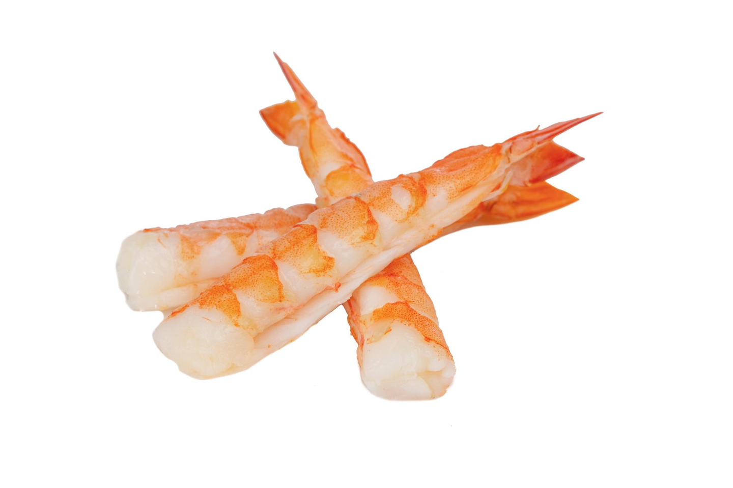 Shrimp Ebi