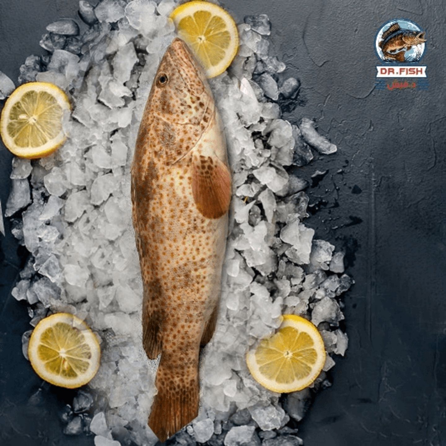 Grouper 700 Gram