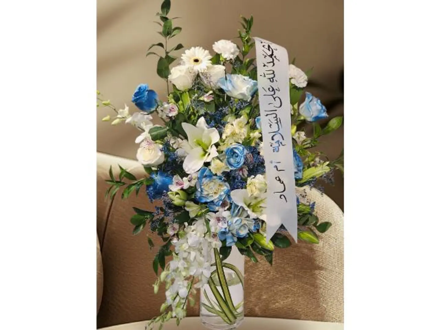 فازه المولود فازه الزياره