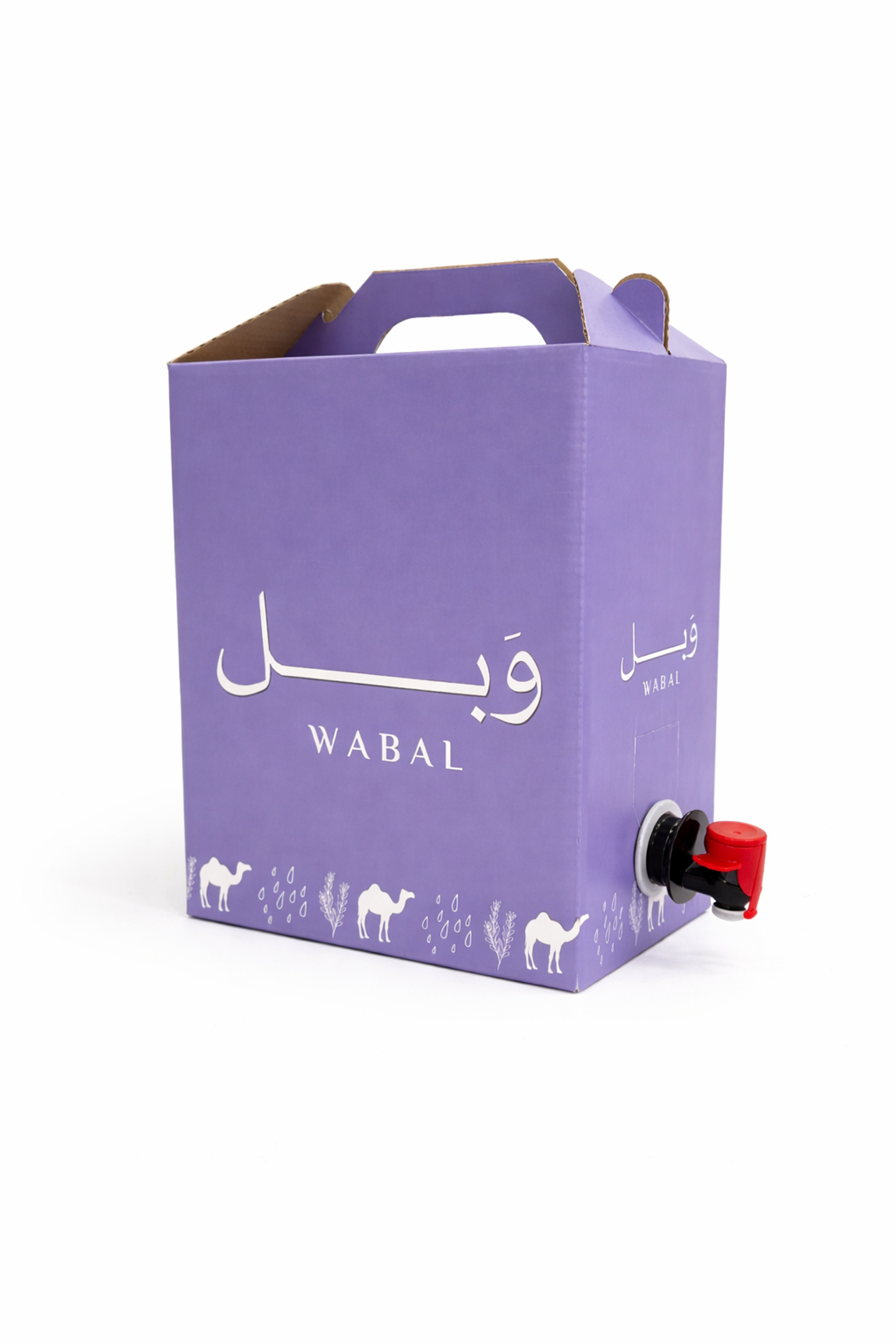 بوكس قهوة اليوم