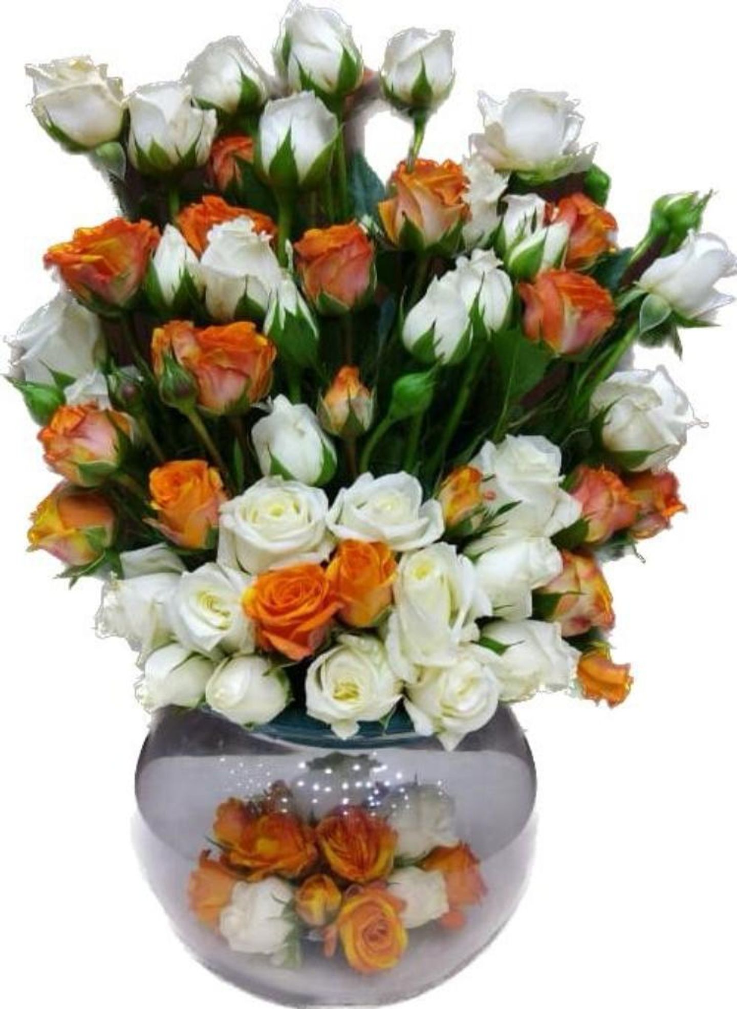 فازة 9