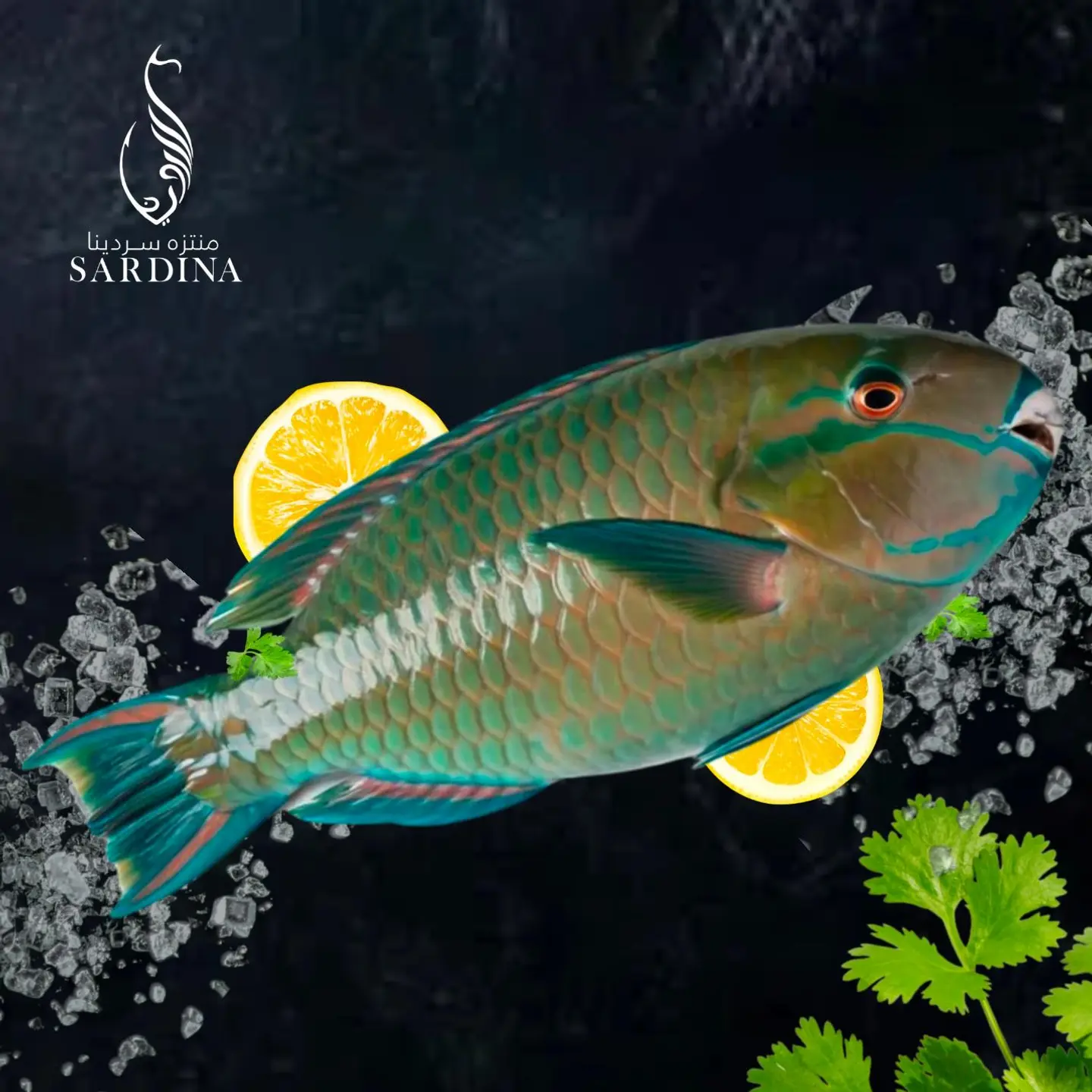 Fried Harid Fish