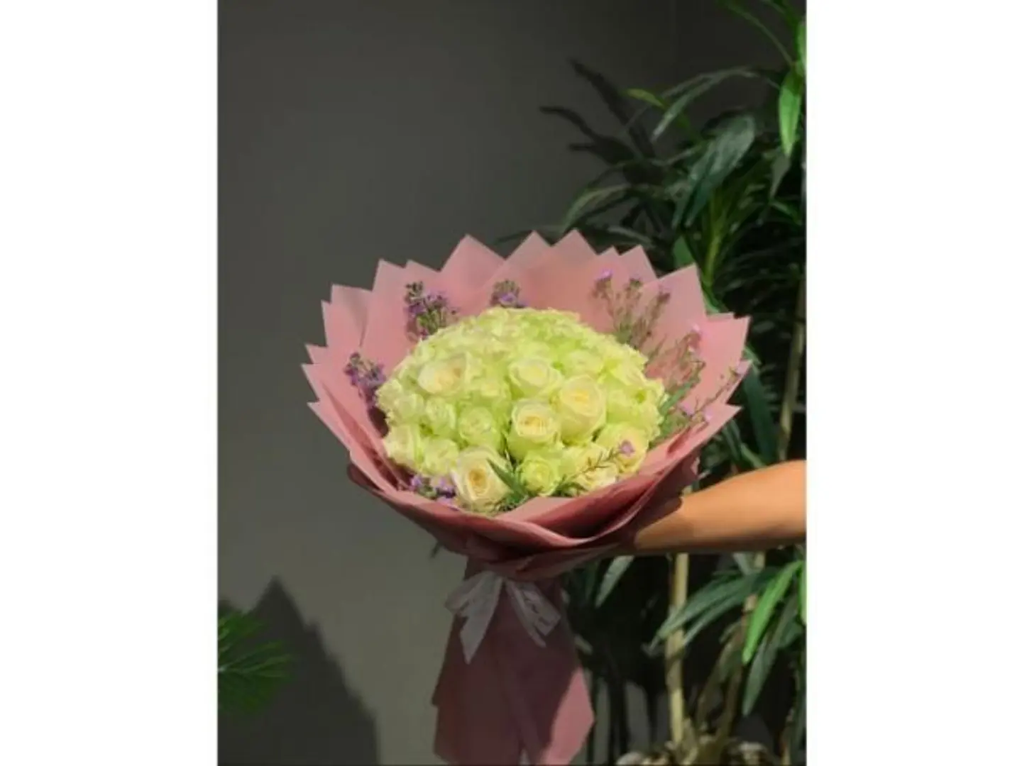 بوكيه جوري أبيض