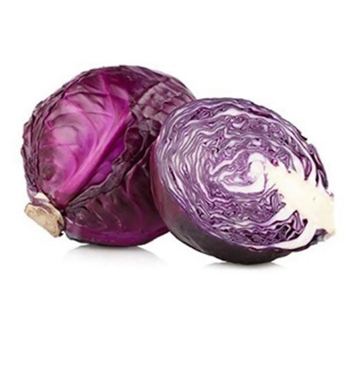 ملفوف بنفسجي