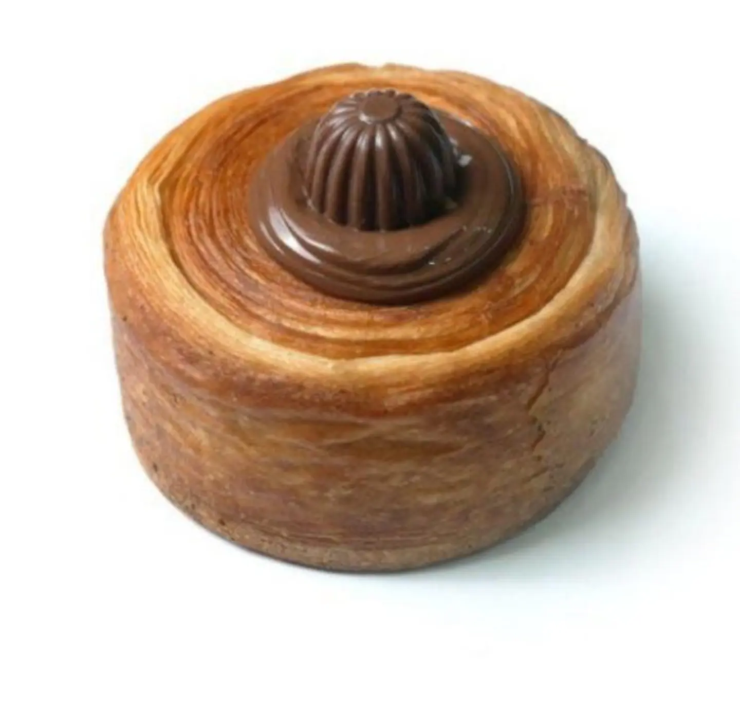 دانش نوتيلا