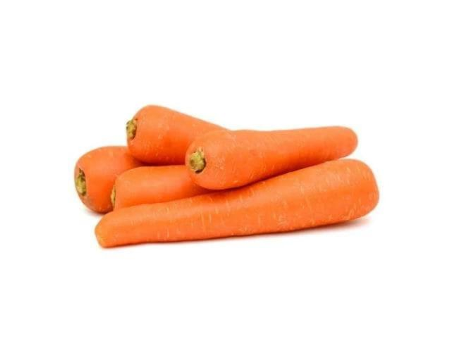 Carrot