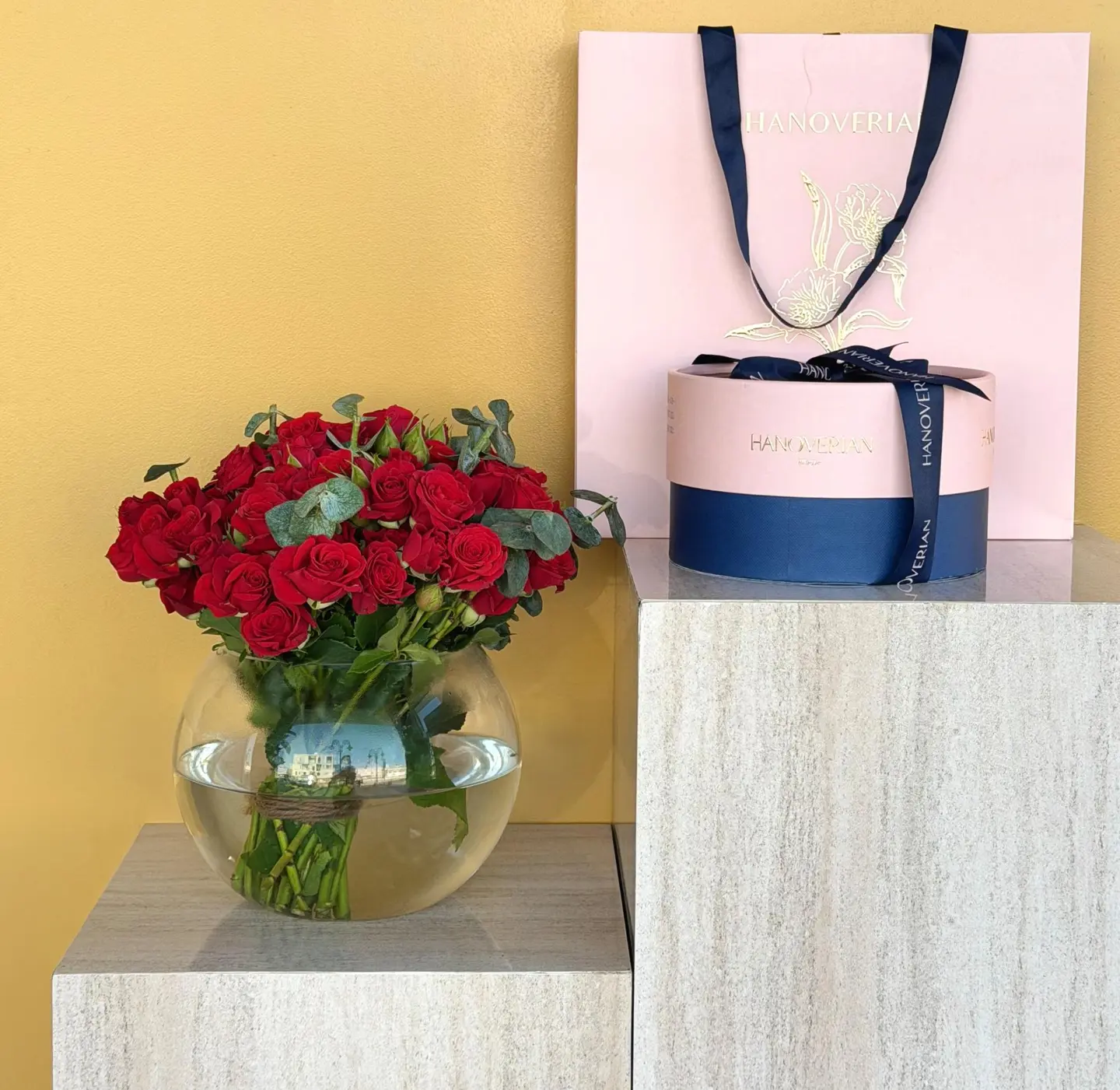 شوكليت هانوڤيرين مع فازة