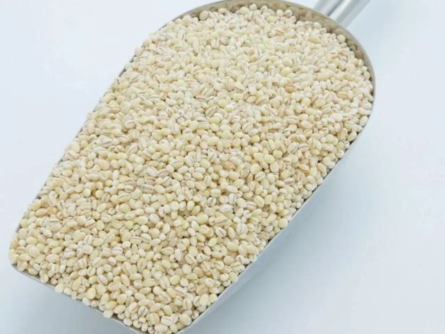 حب شربه امريكي ابيض الكيلو 9