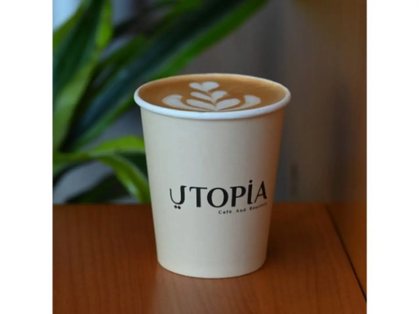 Cortado