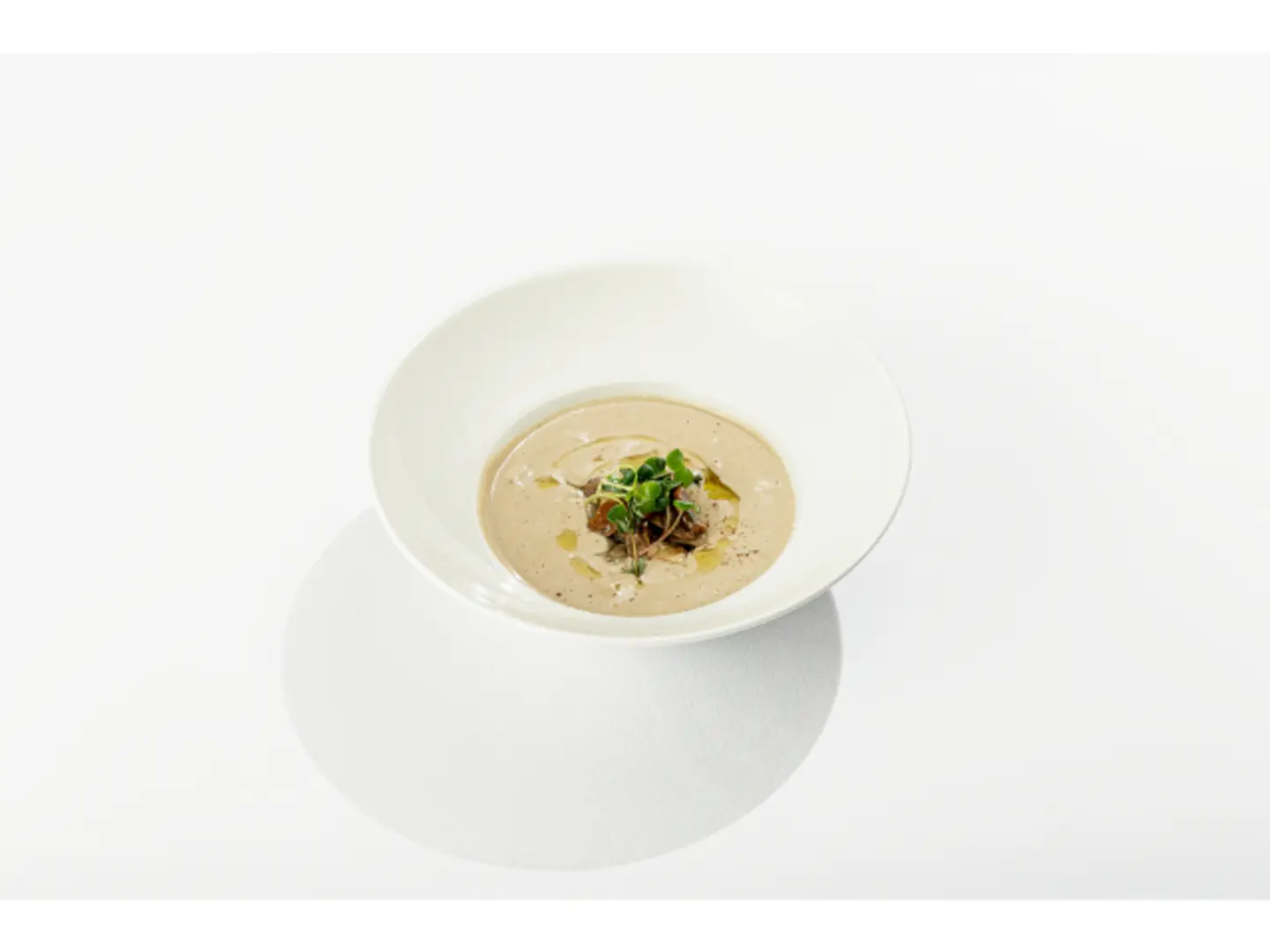 Zuppa Di Porcini E Funghi Di Stagione