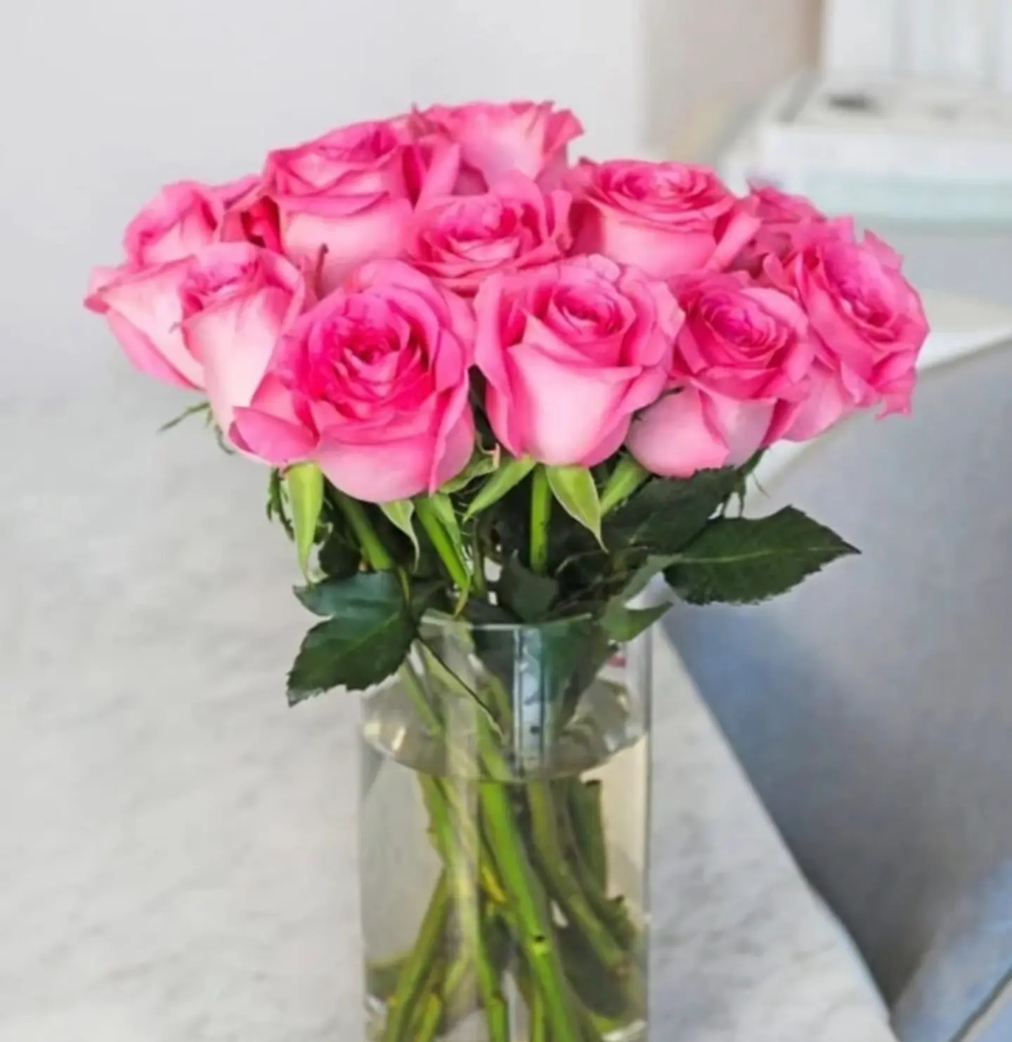 The Refreshment Vase