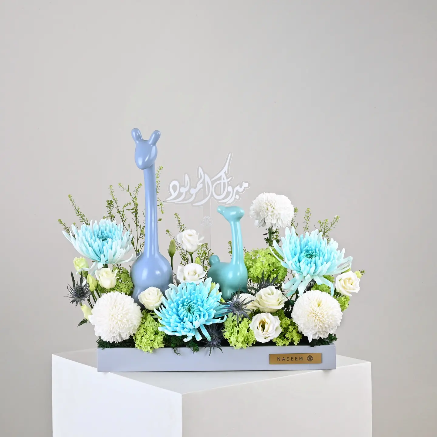 لمسة اللاما الزرقاء